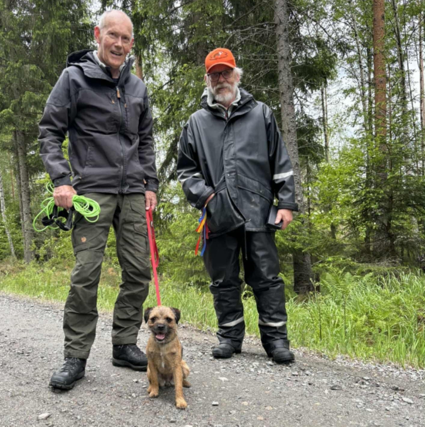 Viltspår hund 1